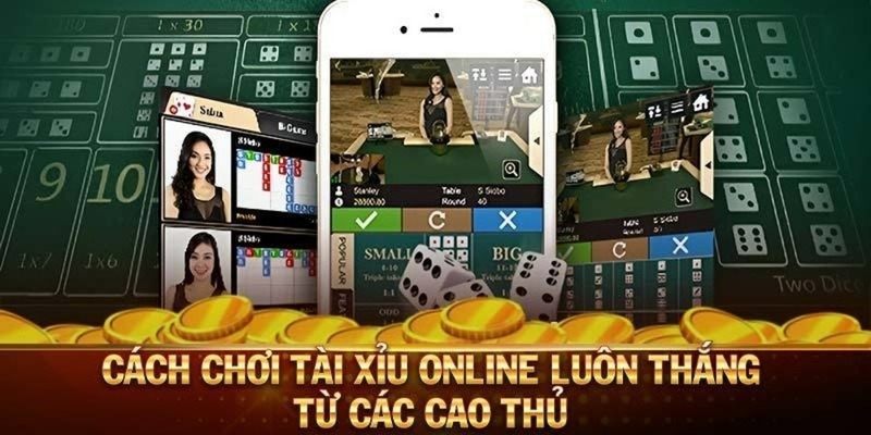 5 Cách Chơi Tài Xỉu Online Luôn Thắng – Mẹo Làm Giàu Tỷ Đô Kinh nghiệm được các cao thủ chia sẻ về cách chơi tài xỉu online