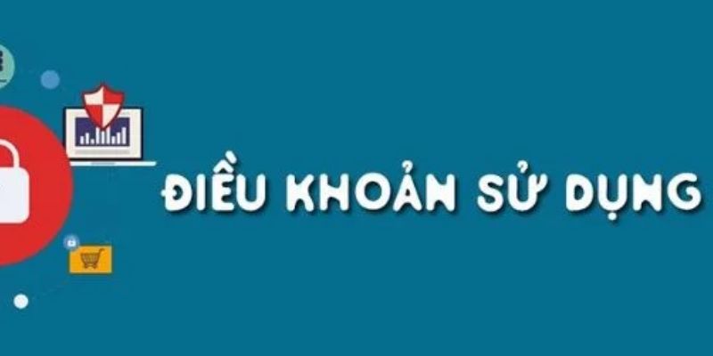 Chính sách điều khoản được áp dụng khi hệ thống sử dụng thông tin khách hàng 